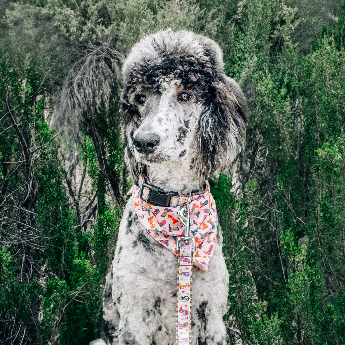 Wild Wild West Bandana