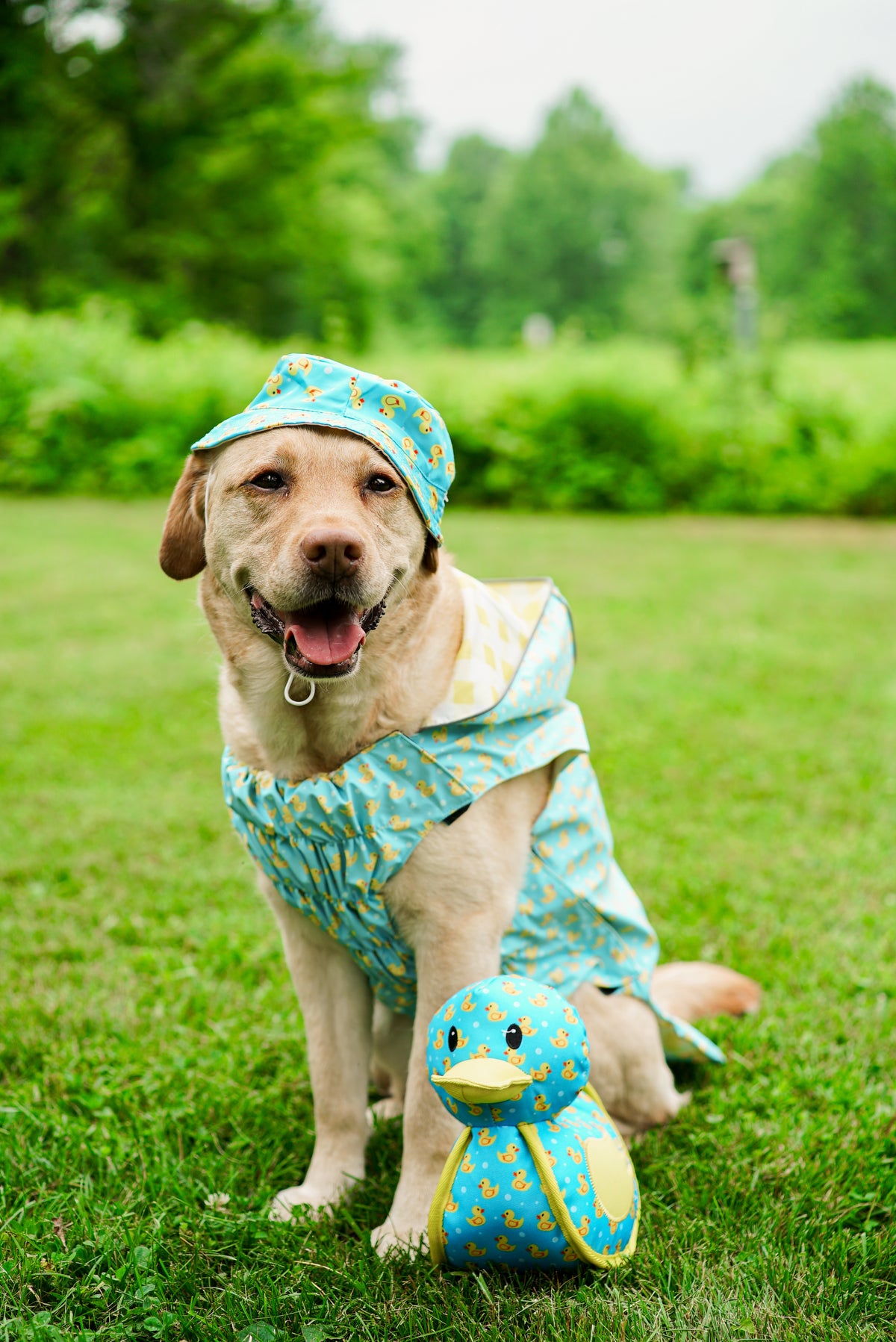 Rubber Duck Bucket Hat