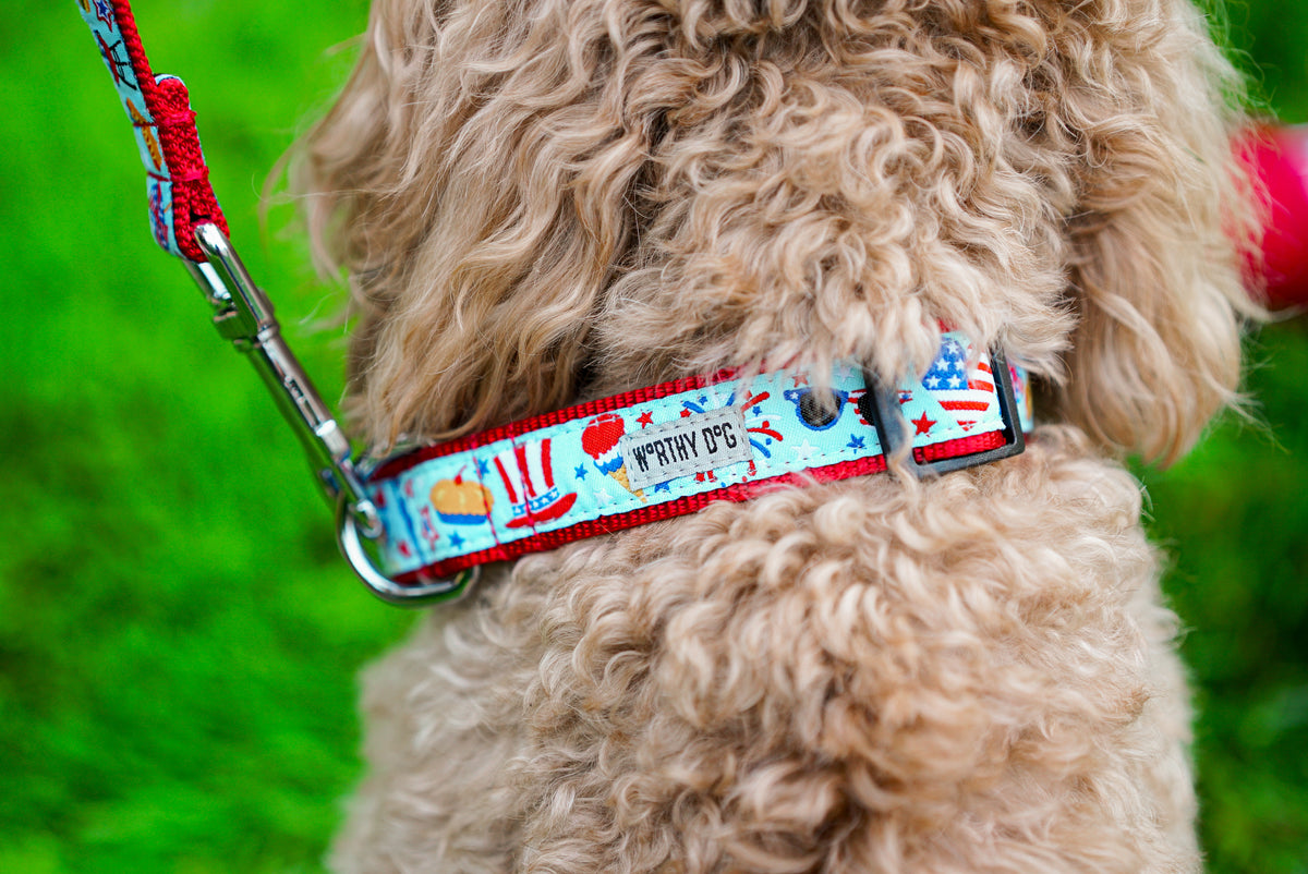 Independence Day Collar