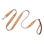 Fall Check Lead