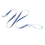Ombre Lead