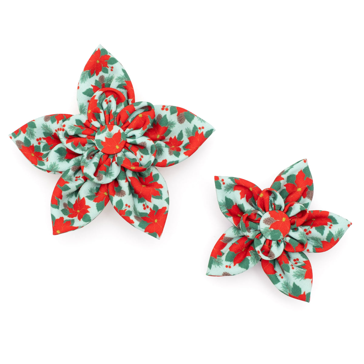 Poinsettias Flower
