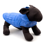 Packable Puffer Jacket