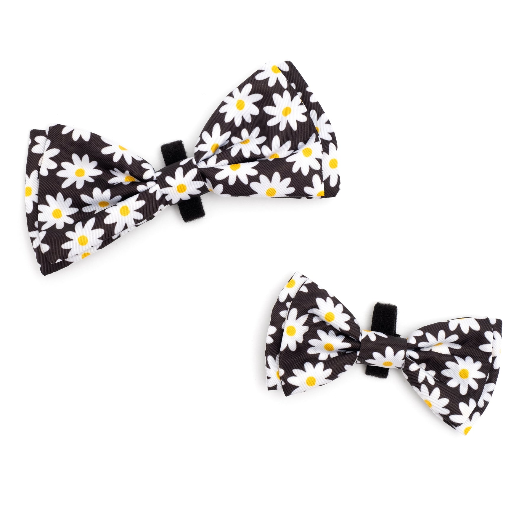 Lazy Daisy Bow Tie
