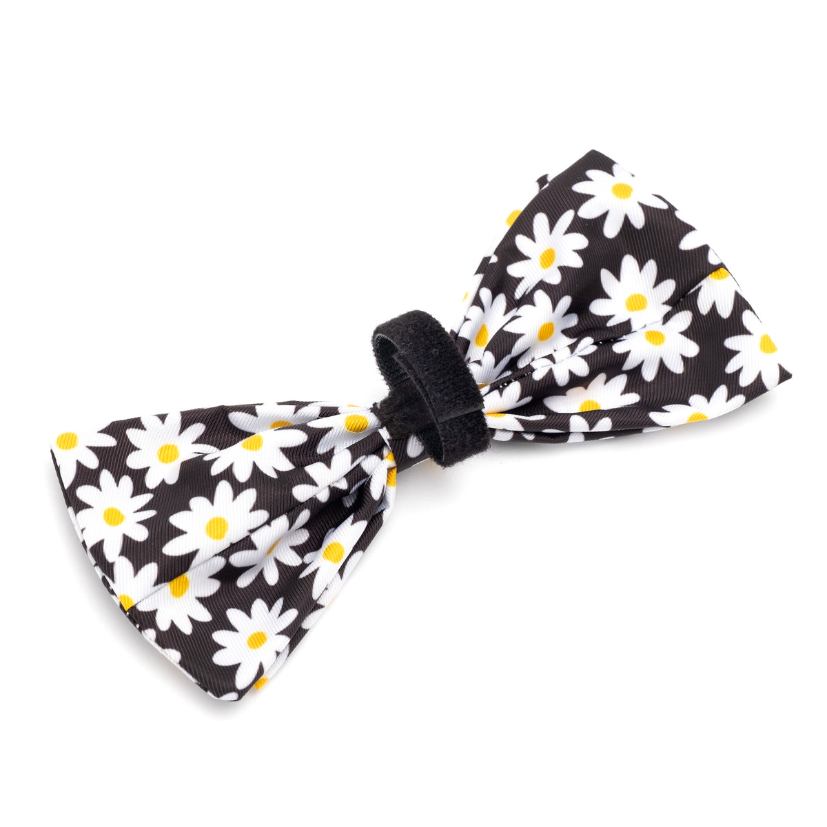 Lazy Daisy Bow Tie