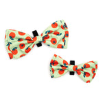 Tomatoes Bow Tie