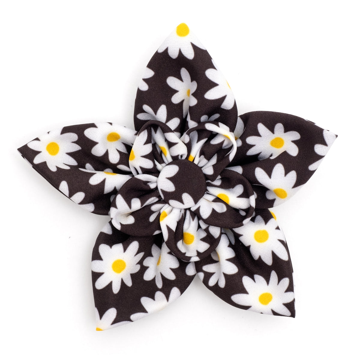 Lazy Daisy Flower