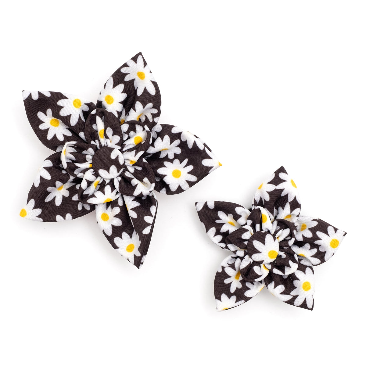 Lazy Daisy Flower