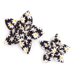 Lazy Daisy Flower
