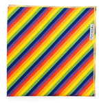 Rainbow Bandana