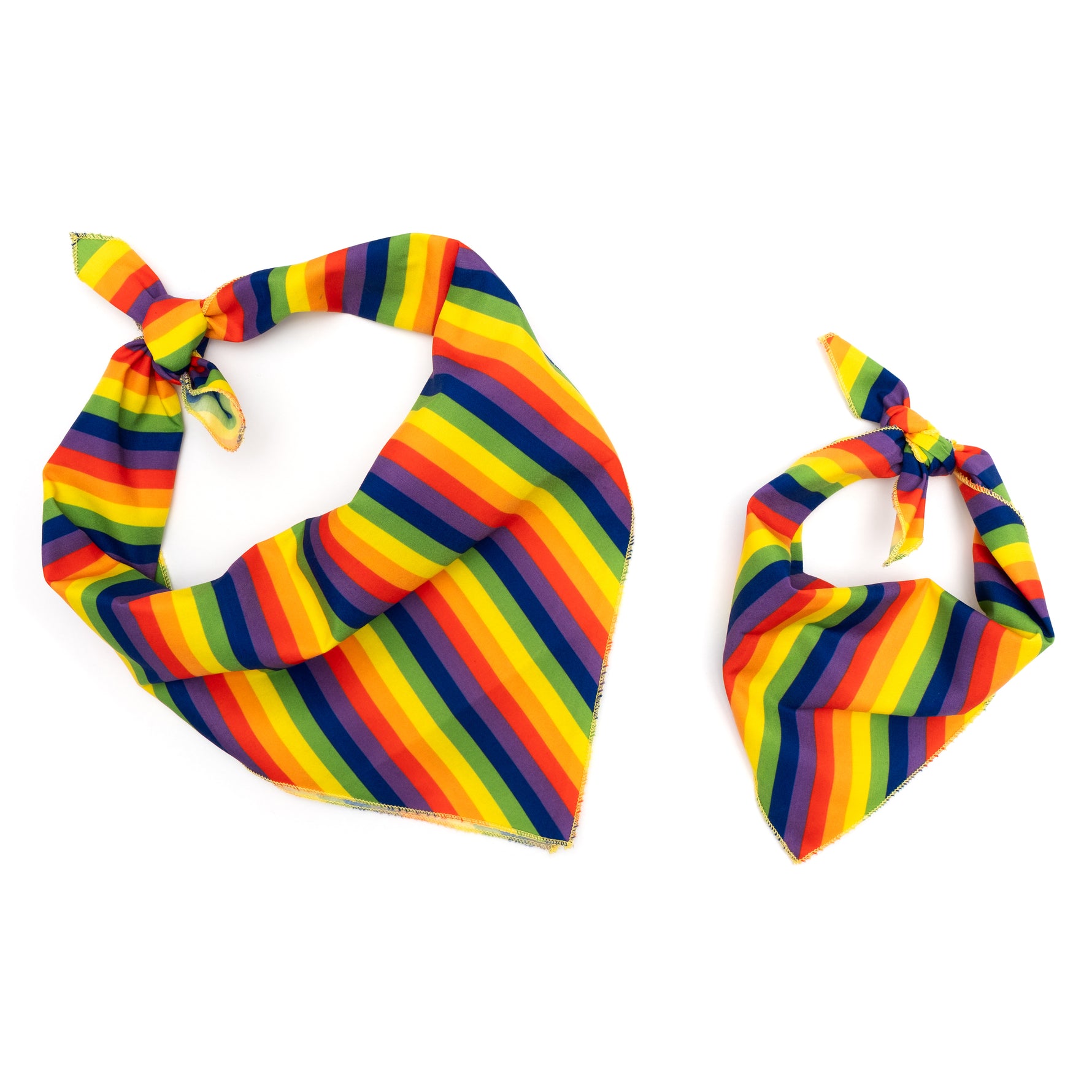Rainbow Bandana