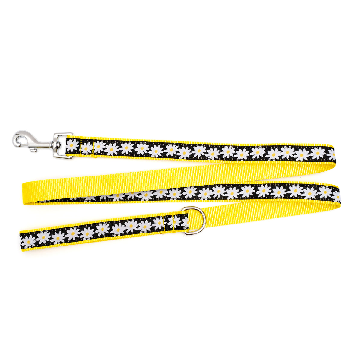 Lazy Daisy Lead