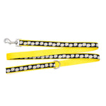 Lazy Daisy Lead