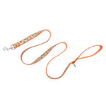 Shrimp Lead