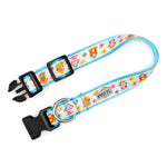 Birdhouses Collar