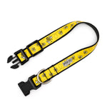 Bzzz! Collar