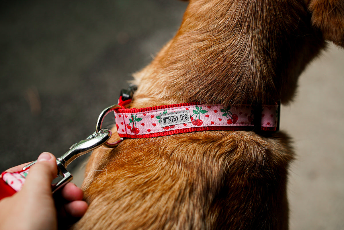 Cherries Jubilee Collar