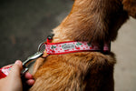 Cherries Jubilee Collar