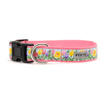 Hello Spring Collar