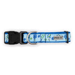 Pickleball Collar