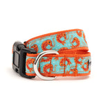 Shrimp Collar