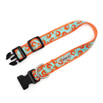 Shrimp Collar