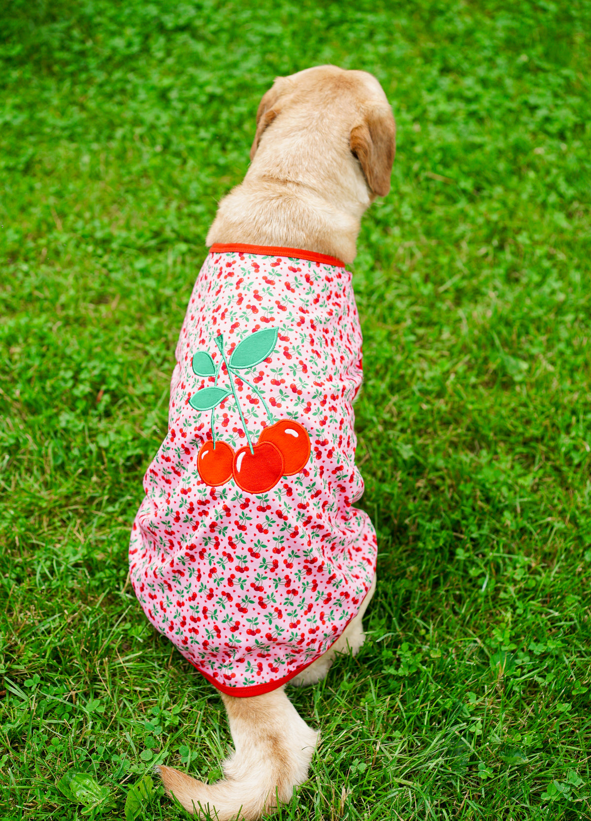Cherries Jubilee Tee