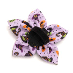 Bewitched Flower