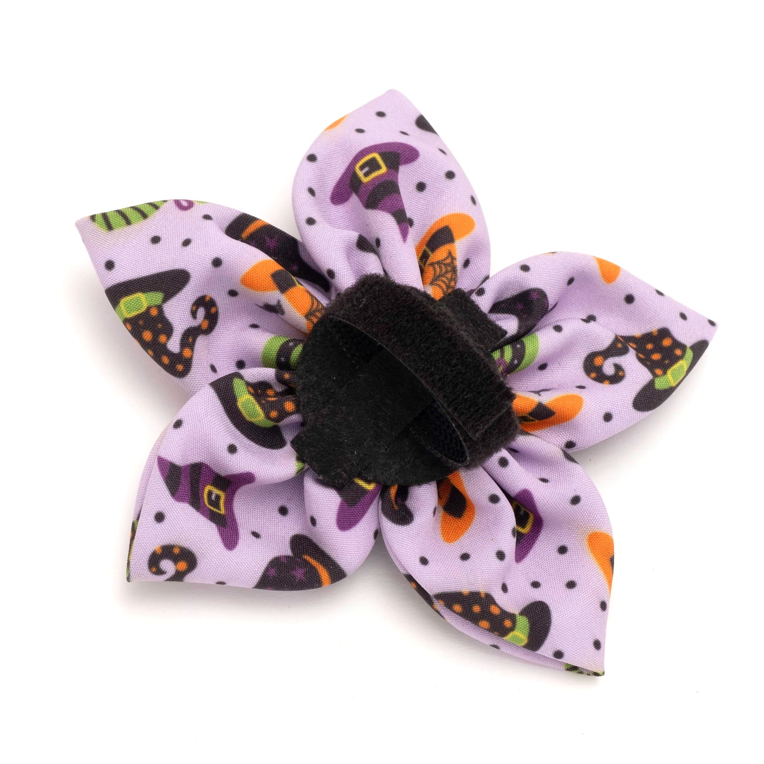 Bewitched Flower