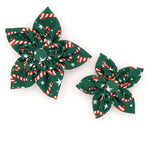 Candy Cane Flower