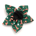 Candy Cane Flower