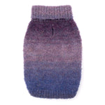 Ombre Turtleneck
