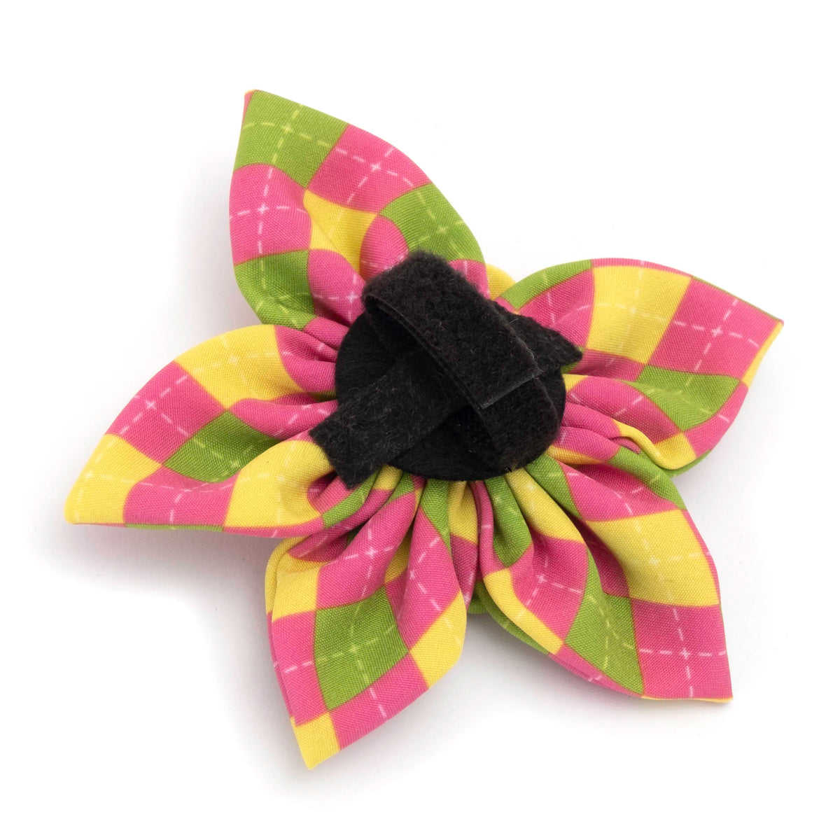 Bright Argyle Flower