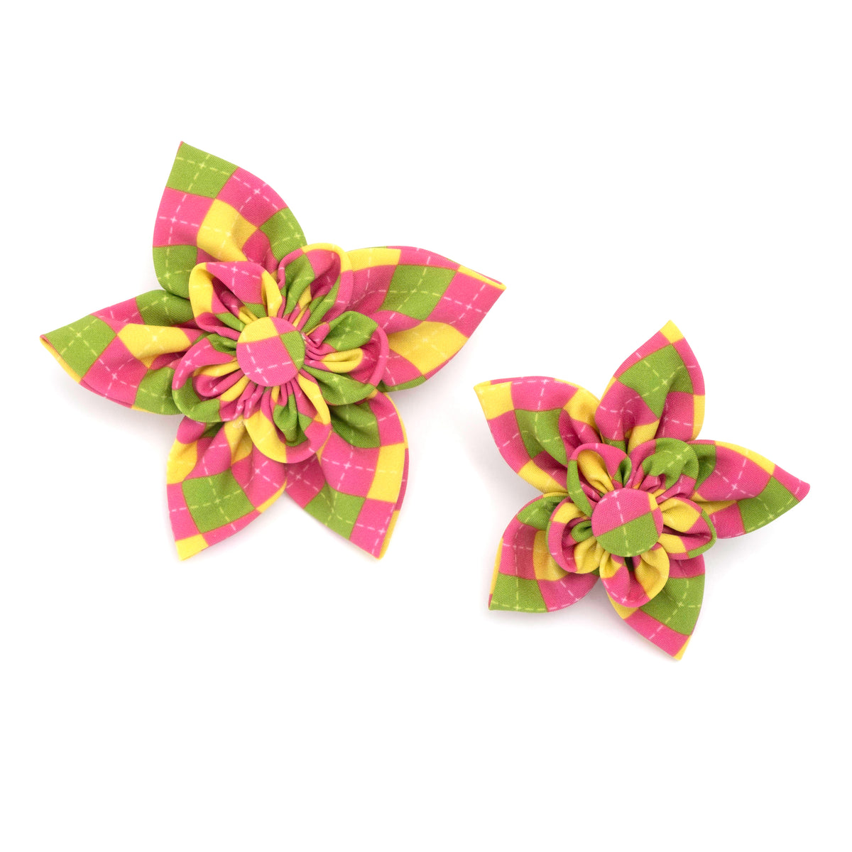 Bright Argyle Flower