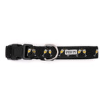 Celebration Dog Collar
