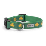 Good Luck Dog Collar