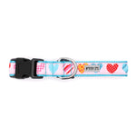 Love is Love Dog Collar