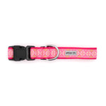Medallion Dog Collar