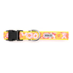 Preppy Floral Dog Collar