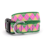 Bright Argyle Dog Collar
