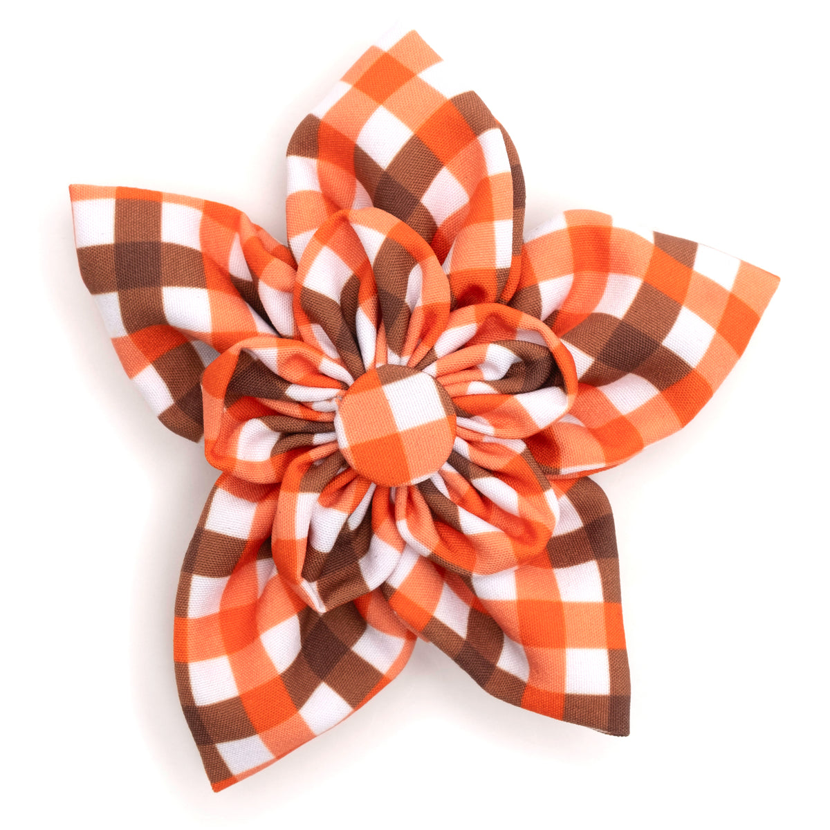 Fall Check Flower