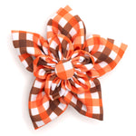 Fall Check Flower