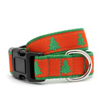 Shimmering Spruce Dog Collar
