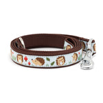 Hedgehog Lead
