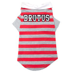Ohio State Brutus Rugby
