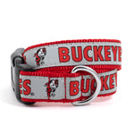 Ohio State Brutus Buckeye Collar