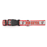 Ohio State Brutus Buckeye Collar