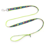 Dino Lead