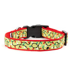 Lit Collar