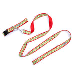 Lit Collar